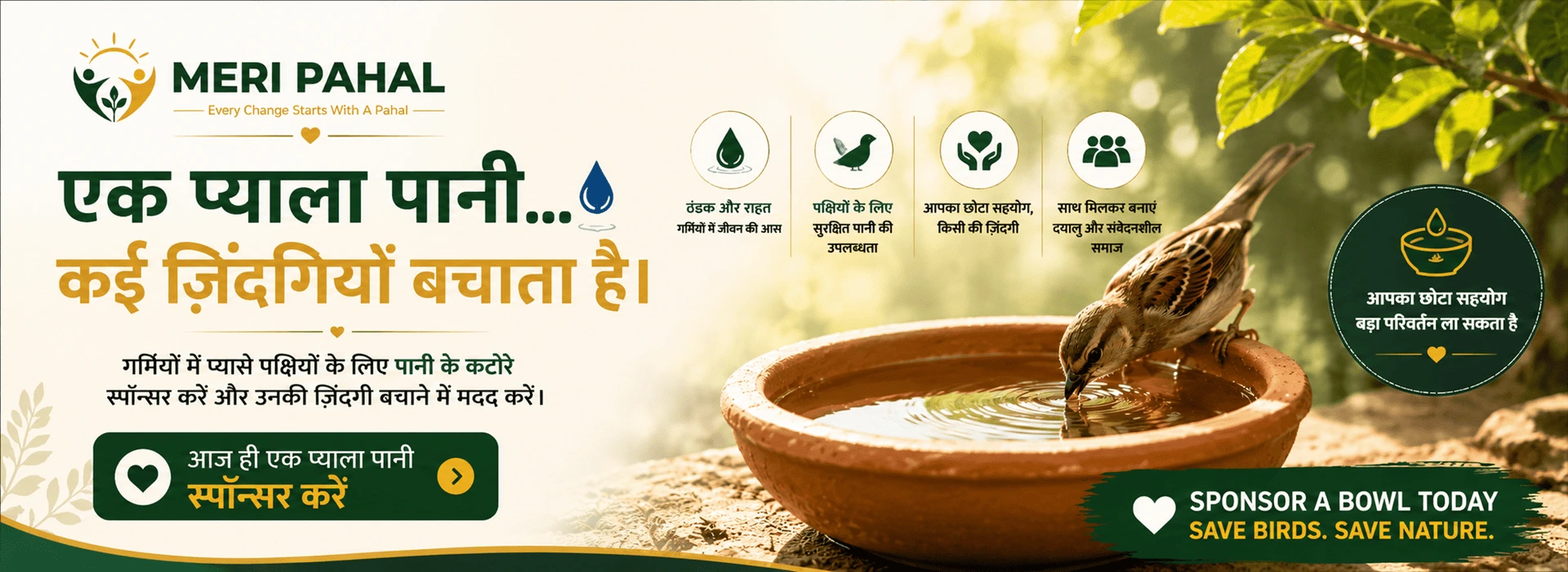 Sponsor A Bird Water Bowl | Water For Wings Campaign